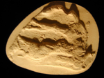 L_V12d9549 A1.121 jx13 fab photo of mold